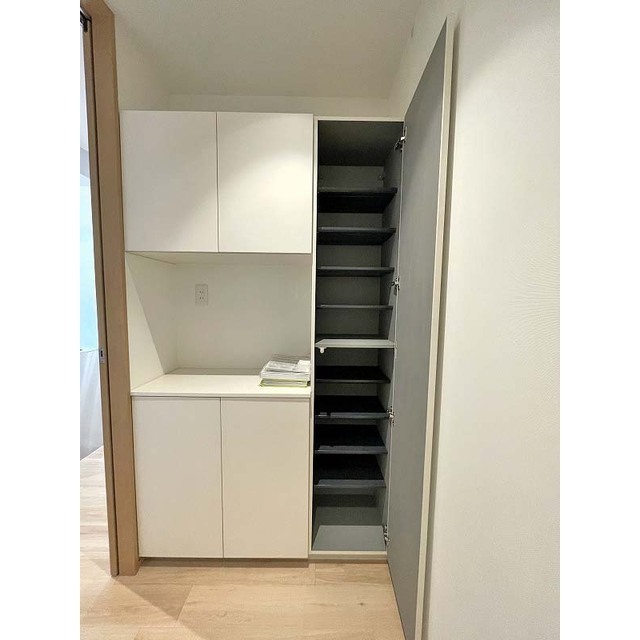 T.N. ガレージハウスA-2-101号室 玄関収納豊富です