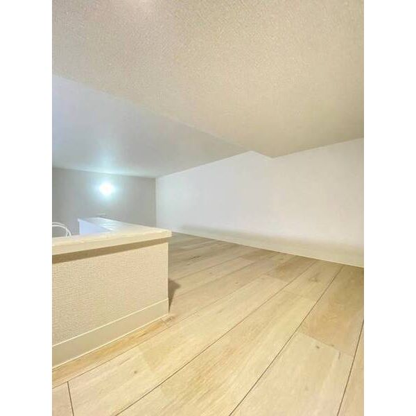 パンシオン　東大宮NO.1　A棟0102号室 部屋その他