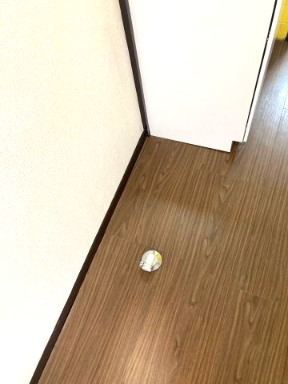 ラ・ポール松戸101号室 ※写真は別室です