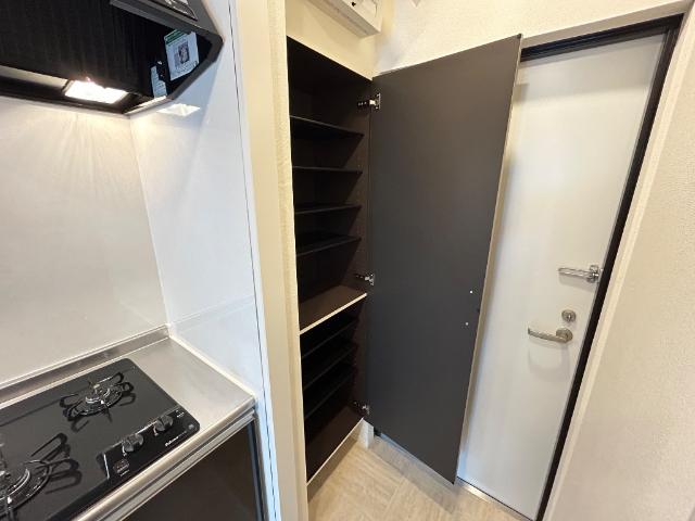 OceanCoastTsudanuma（オーシャンコーストツダヌマ）206号室 下駄箱