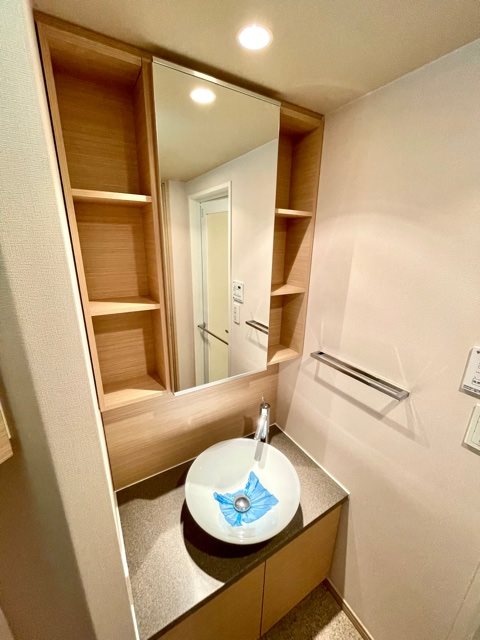 チェスターコート御茶ノ水12階 洗面