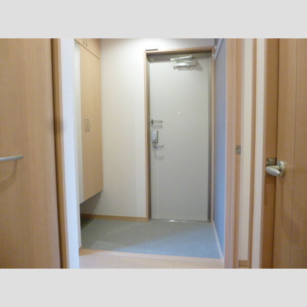 AlbaGrande(アルバグランデ)305号室 玄関