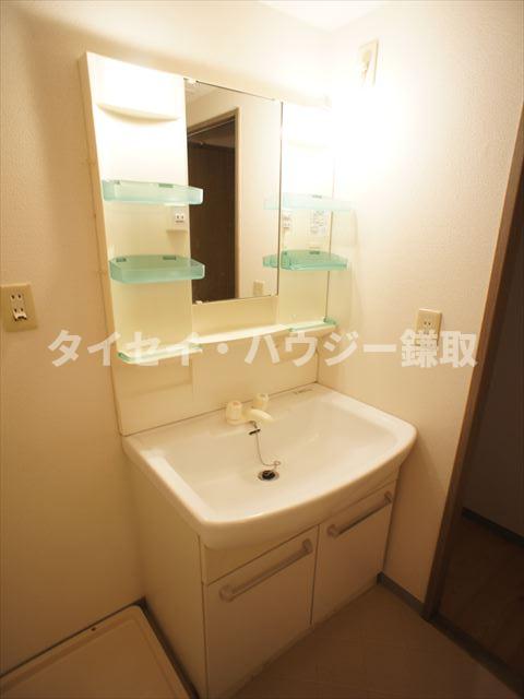 ルミエール若葉0101号室 洗面