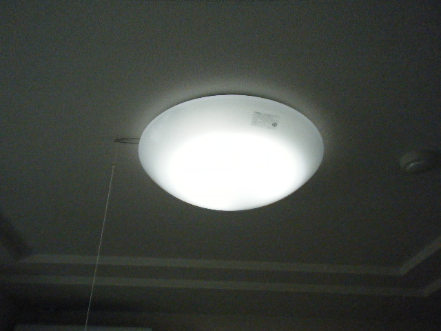 ビオス北朝霞311号室 照明