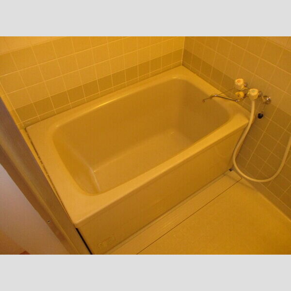 ロイアルパレスシマ206号室 206(浴室)