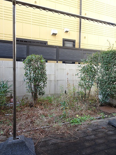 プラネット市ヶ谷1階 同建物別部屋の参考画像