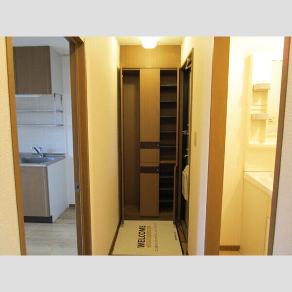 アベニュー トールシューズBOX