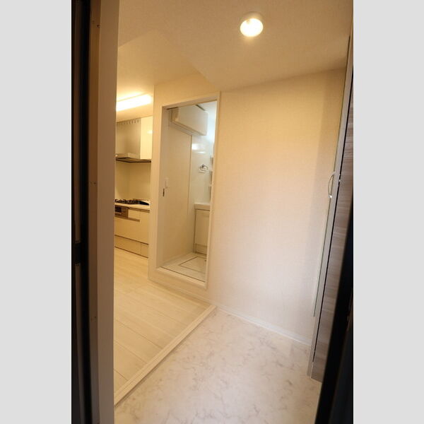 D Paina 新羽町202号室 玄関