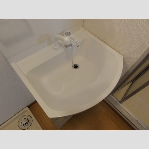 ハイツゆかり 203(洗髪洗面化粧台)