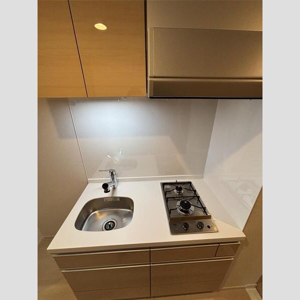 MAXIV　CROS梅島404号室 玄関