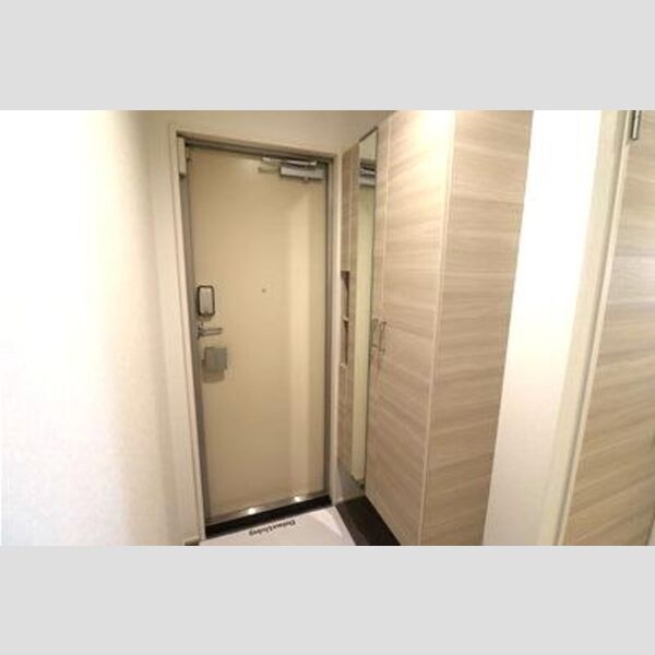 Skey residence塚越(スカイエレジデンスツカゴシ)502号室 玄関