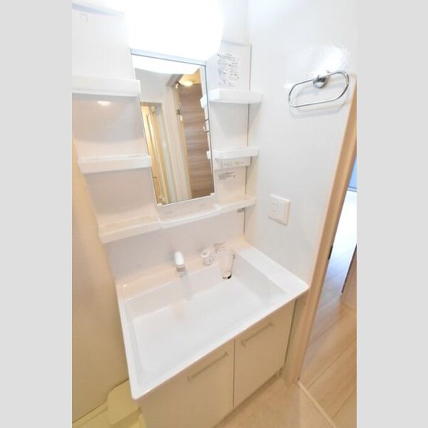 サテライト海老名202号室 独立洗面台
