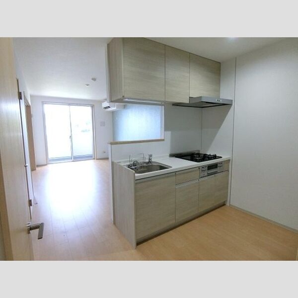 TERRACE　WELLNESS203号室 LDK(対面キッチン)