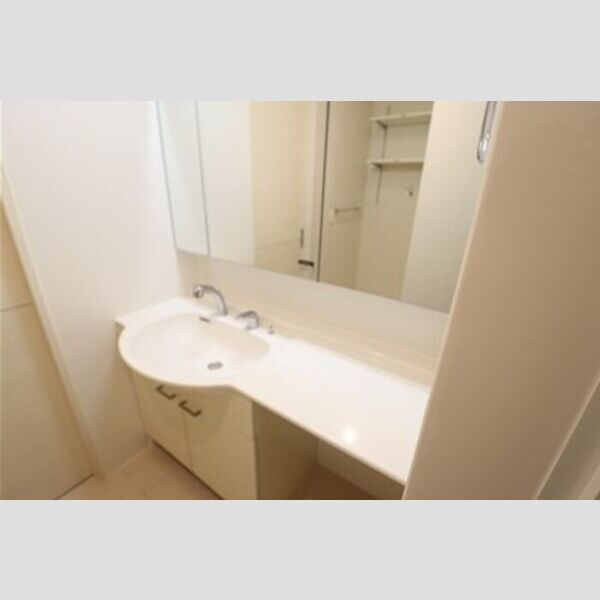 ウィルビューF106号室 洗髪洗面化粧台