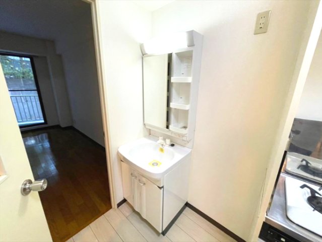 Ｆ５ハクジュハウス103号室 洗面