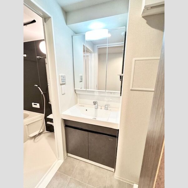 ロイジェント南池袋0602号室 洗面所