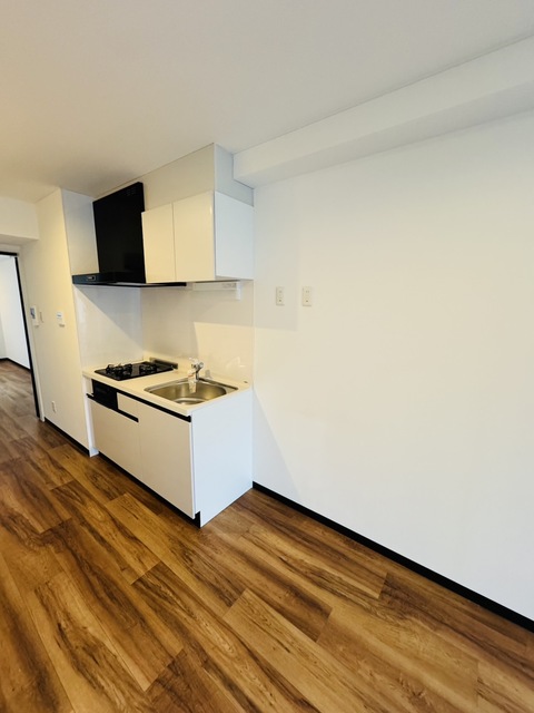 ＮＥＸＴＡ追分0603号室 キッチン