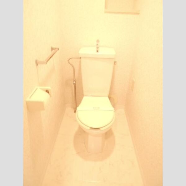 Bellevue壱番館205号室 トイレ