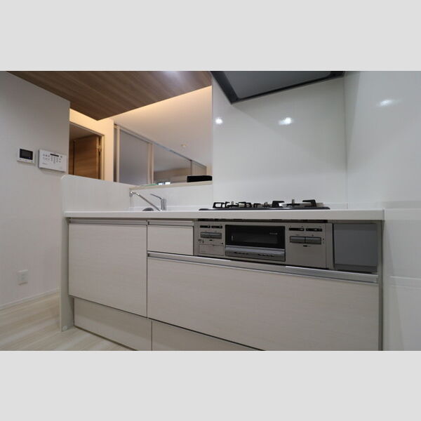 アヴァンス西亀有101号室 システムキッチン