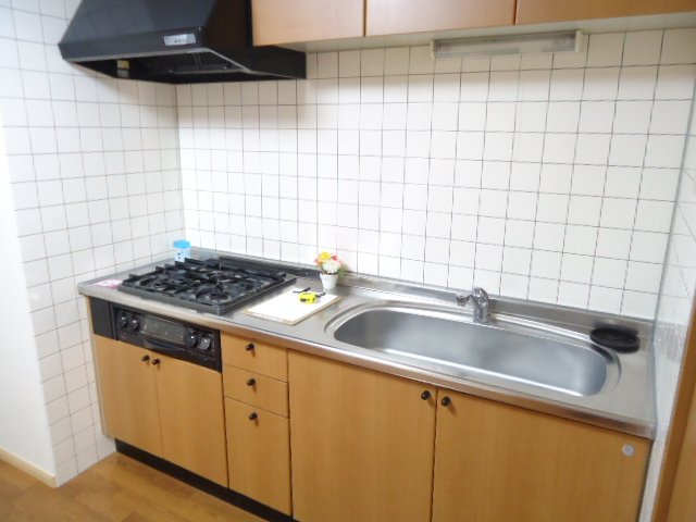 ロジュマンⅡ ３口コンログリル付