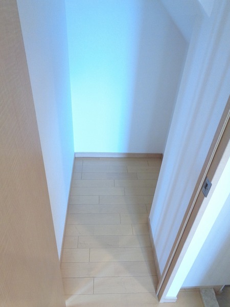 ライフレビュー多摩川701号室 収納