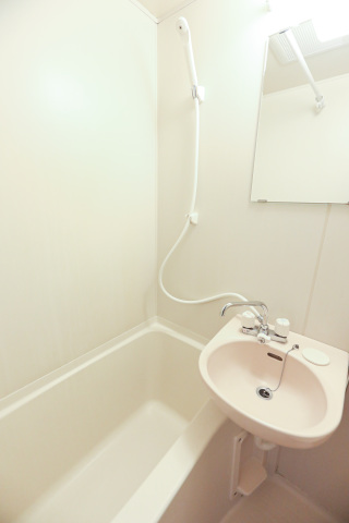 スカイコート横浜山手302号室 洗面