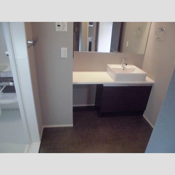 エテルナ瑞江301号室 洗面室