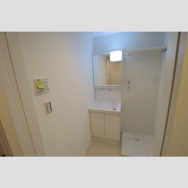 グレイスグリーンヒルズ108号室 洗面室