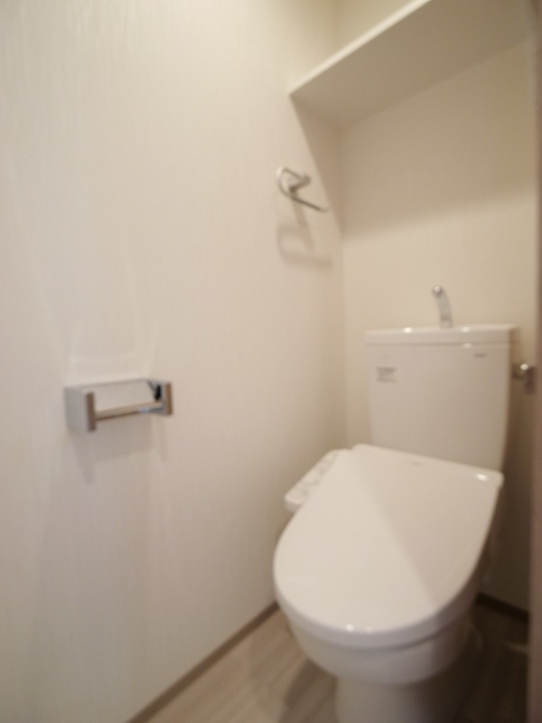 プレジオ川口ASIAN7階 トイレ