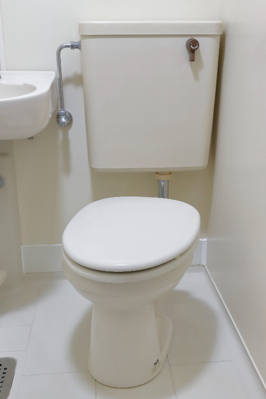 日神パレス上板橋302号室 同建物別部屋の参考画像