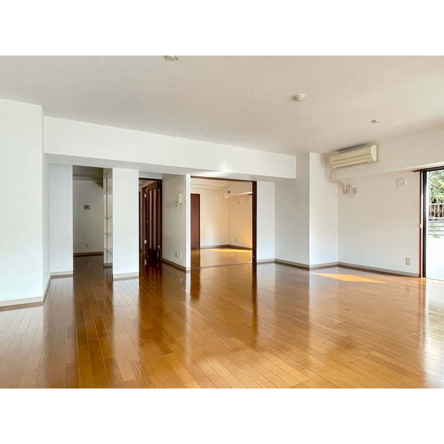 スクリップス101号室 ☆LDK16.6帖