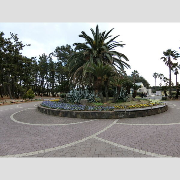 BLESS辻堂 【辻堂海浜公園】　海ぞいに広がる公園