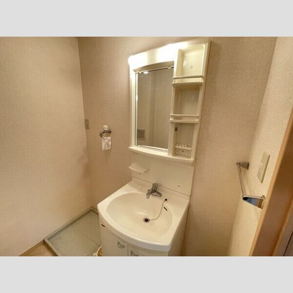 ロイヤルコート 洗面所