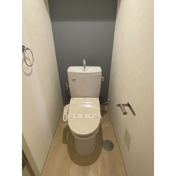 ロイヤルフラット野毛山壱番館703号室 トイレ