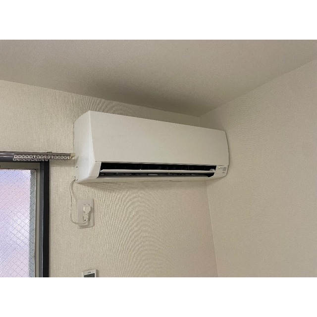 プラザ・ドゥ・アヴァン202号室 部屋その他