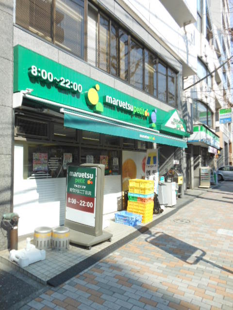 ガラ・ステージ目白台4階 【デパート】マルエツプチまで82ｍ