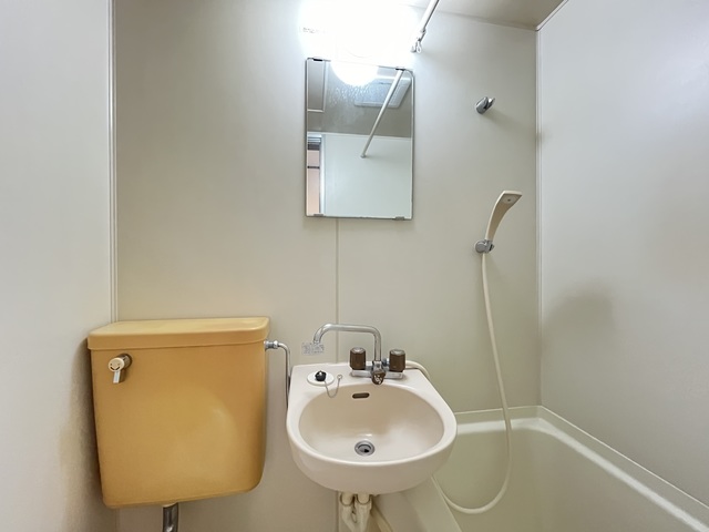 シェブロン第２ビル0202号室 洗面