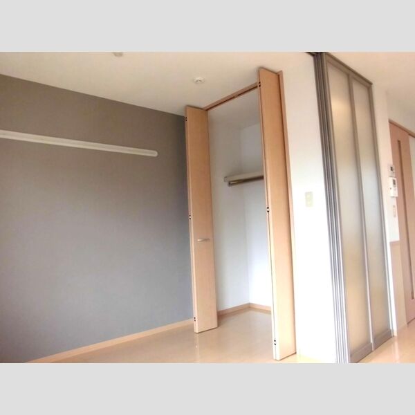 セジュール宮沢　ABB201号室 クローゼット