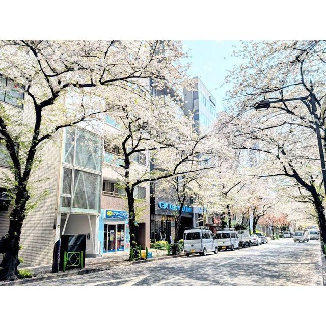 八丁堀櫻庵 外観　2025.4撮影