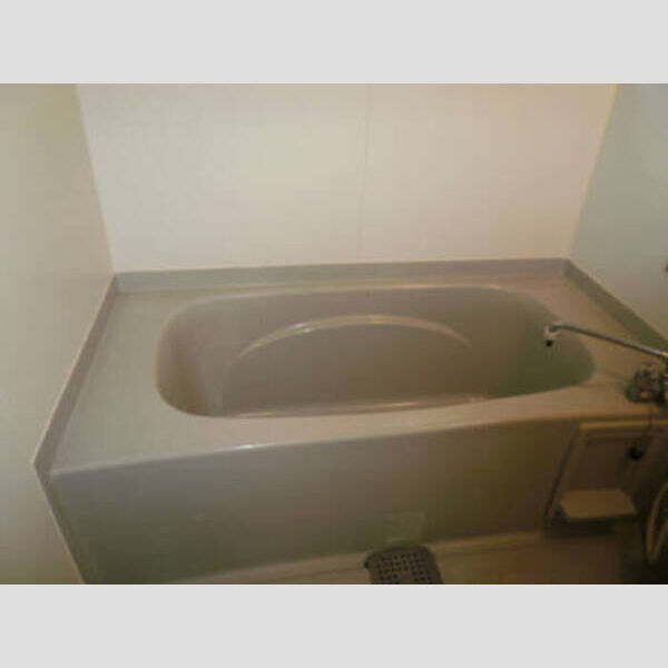 ジャーマンアイリス　Ⅱ お風呂