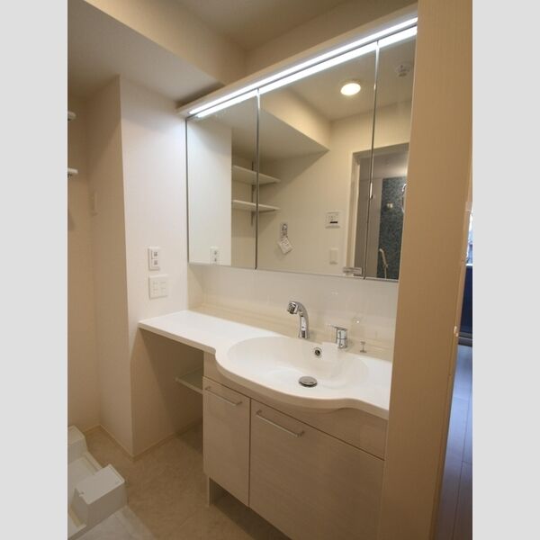 プレシャス富士見205号室 洗面