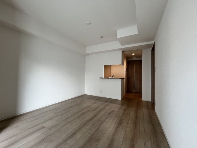GRAN PASEO上野御徒町502号室 リビング