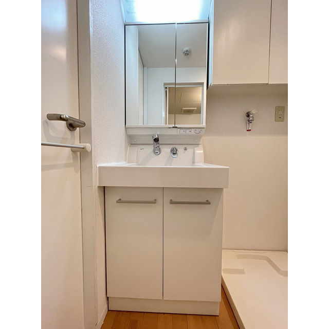 アンリシェール橋本Ａ303号室 洗髪洗面化粧台