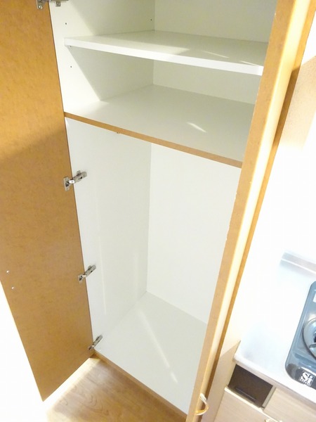 ルーブル溝の口501号室 収納