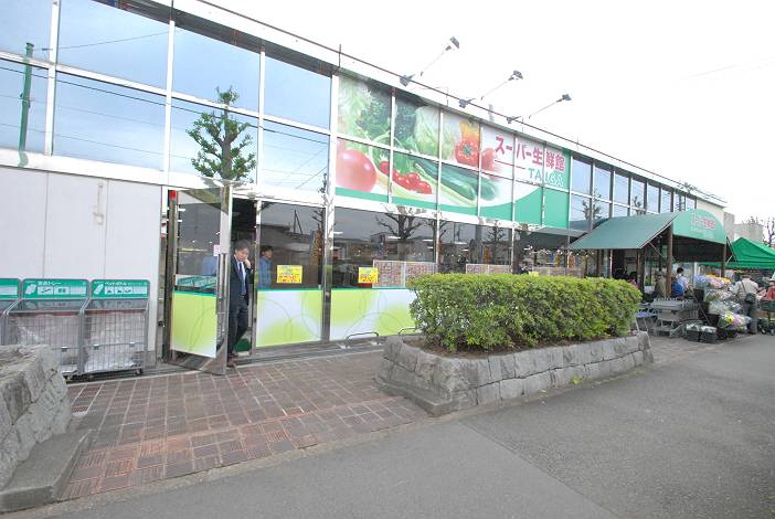 コンドミニアム座間3号棟 【スーパー】スーパー生鮮館TAIGA座間店まで501ｍ