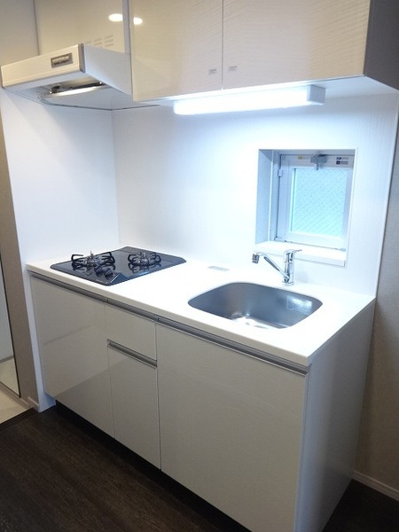 ザ・レジデンス・オブ・トーキョーＴＹ１６ キッチン