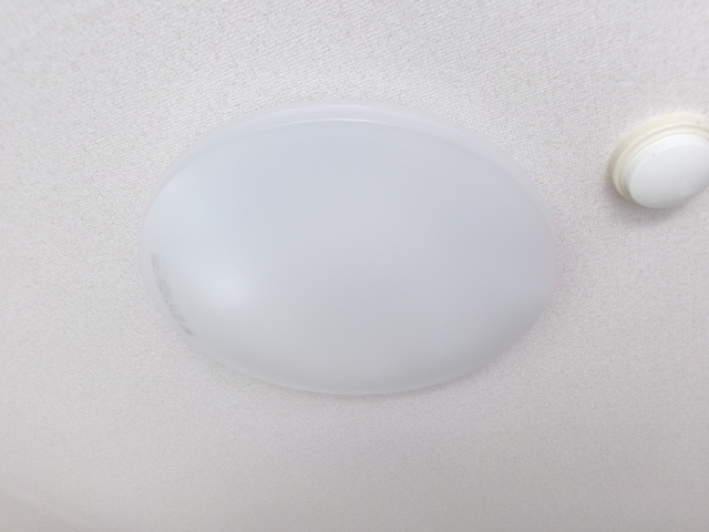 リバーサイド小林0109号室 照明