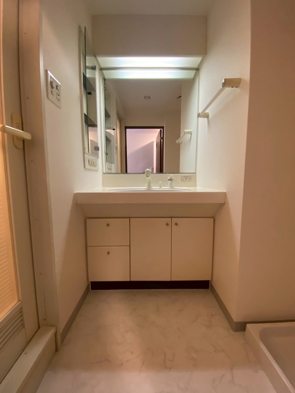 メゾンドール錦糸町ツイン9階 部屋その他