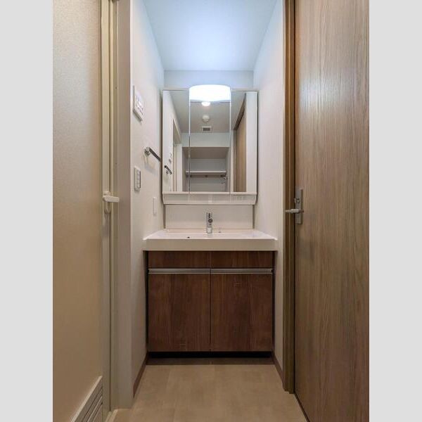 Alivis西葛西norte301号室 洗面