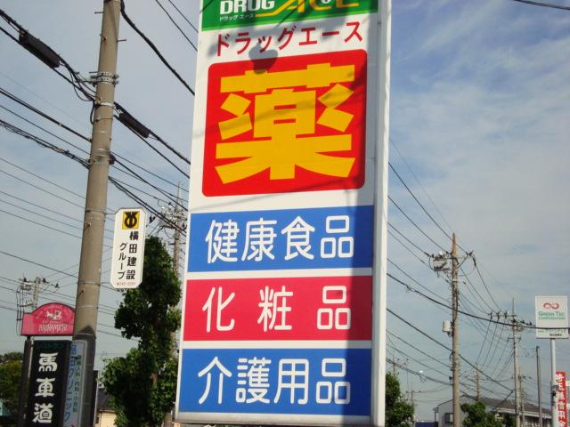 ラナンキュラス ドラッグ・エース岸町南店まで350ｍ